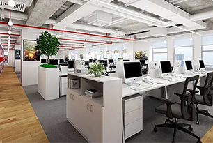 Global Reach: Establishing International Presence